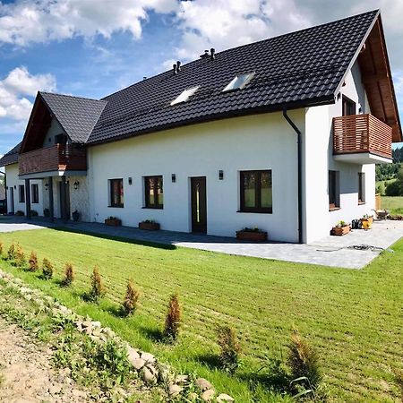 Apartament Przy Potoku Зубжиця-Ґурна Екстер'єр фото