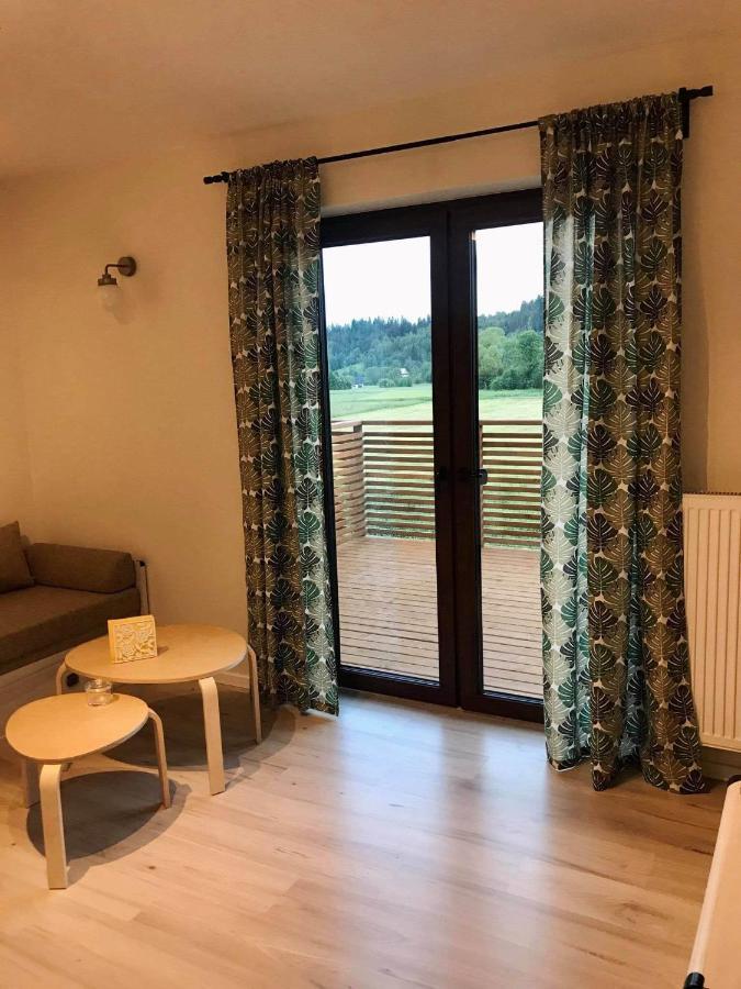 Apartament Przy Potoku Зубжиця-Ґурна Екстер'єр фото