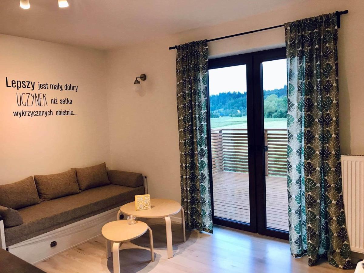 Apartament Przy Potoku Зубжиця-Ґурна Екстер'єр фото